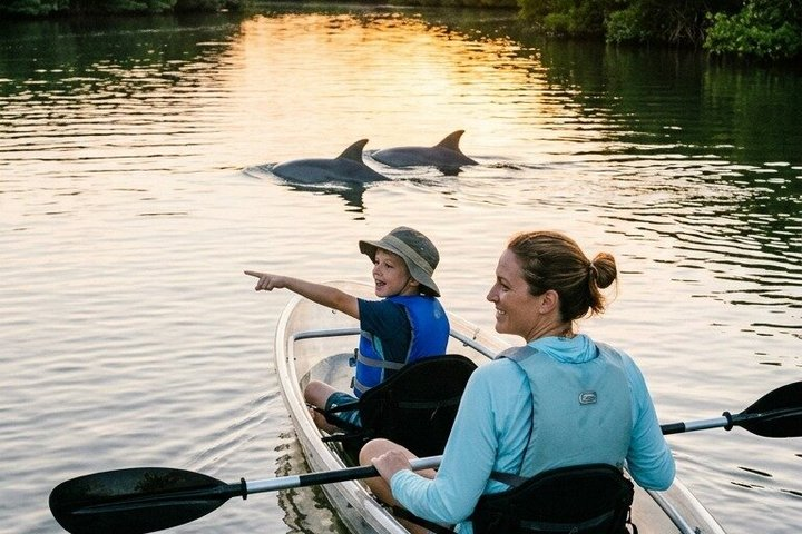 Dolphin and Manatee Clear Kayak or Paddleboard Tour - Photo 1 of 9